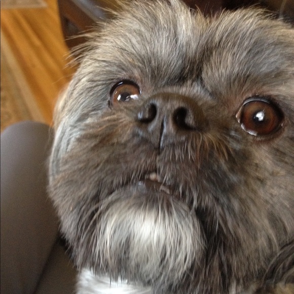 Meet your Posher, Jose - Picture 1 of 1